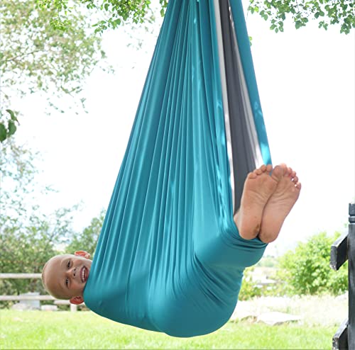 Special needs best sale hammock swing